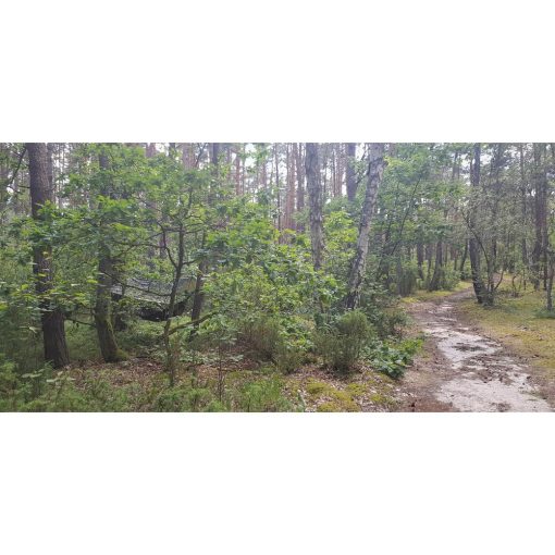 Bushmen Thermo Tarp 3x3 in Camo